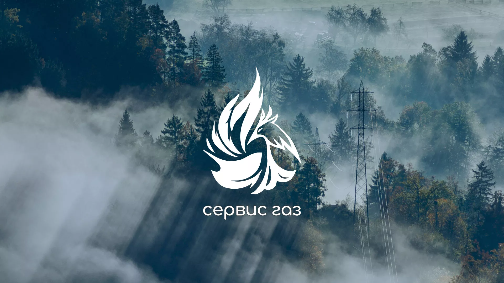 Создание сайта компании «Сервис газ» в Лысково